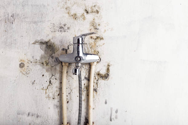Best Water Damage Restoration  in Andover, KS